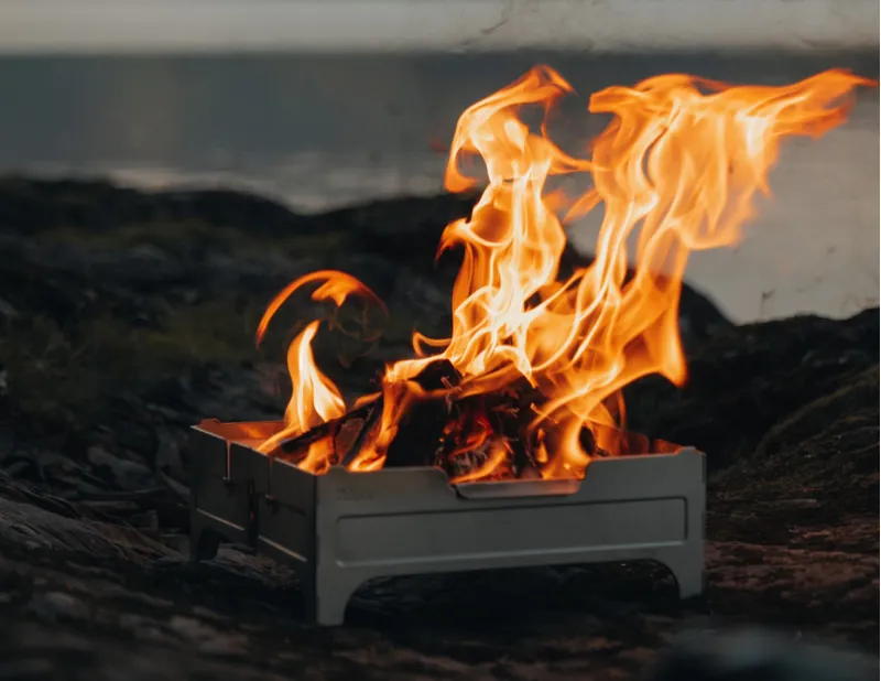 Wolf and Grizzly Fire Safe-4