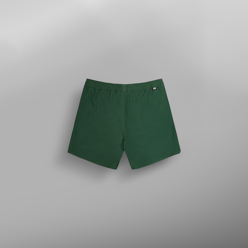 Picture Organic Clothing Piau Solid 15 Boardshorts Jungle Green - Mens trunks-1