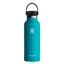 Hydro Flask 18oz Standard Flex Cap in Laguna