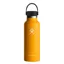 Hydro Flask 18oz Standard Flex Cap in Starfish