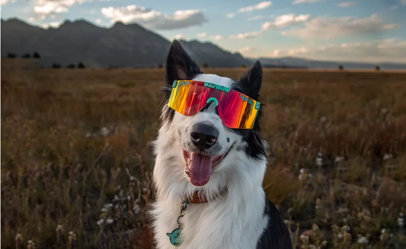 Pit Viper Dusk Floating sunglasses Rig strap-2