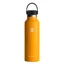 Hydro Flask 21oz Standard Flex Cap in Starfish