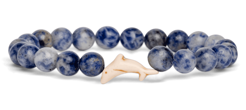 Fahlo Coastal Blue Bracelet - Dolphin