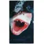 Leus Great White Beach Towel