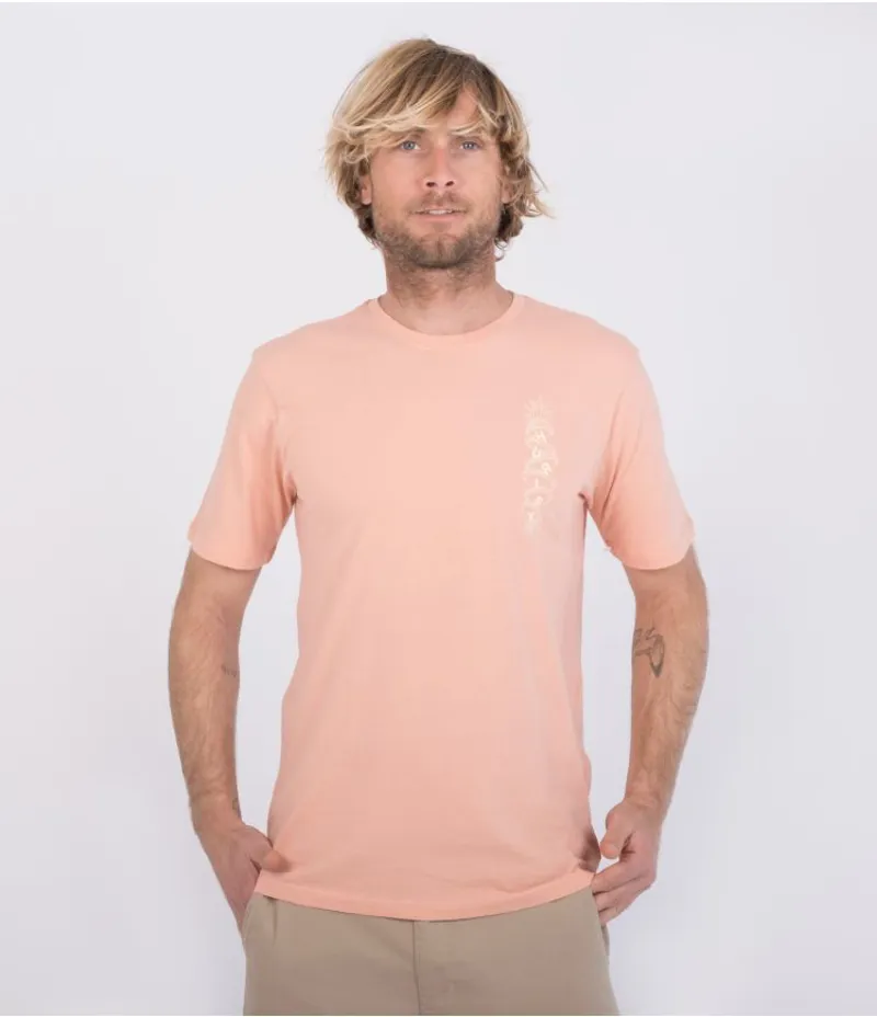Hurley Everyday Wash Tropical Slices Short Sleeve Tee in Pink Quest-4