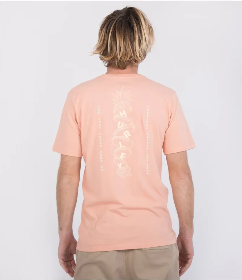 Hurley Everyday Wash Tropical Slices Short Sleeve Tee in Pink Quest-3