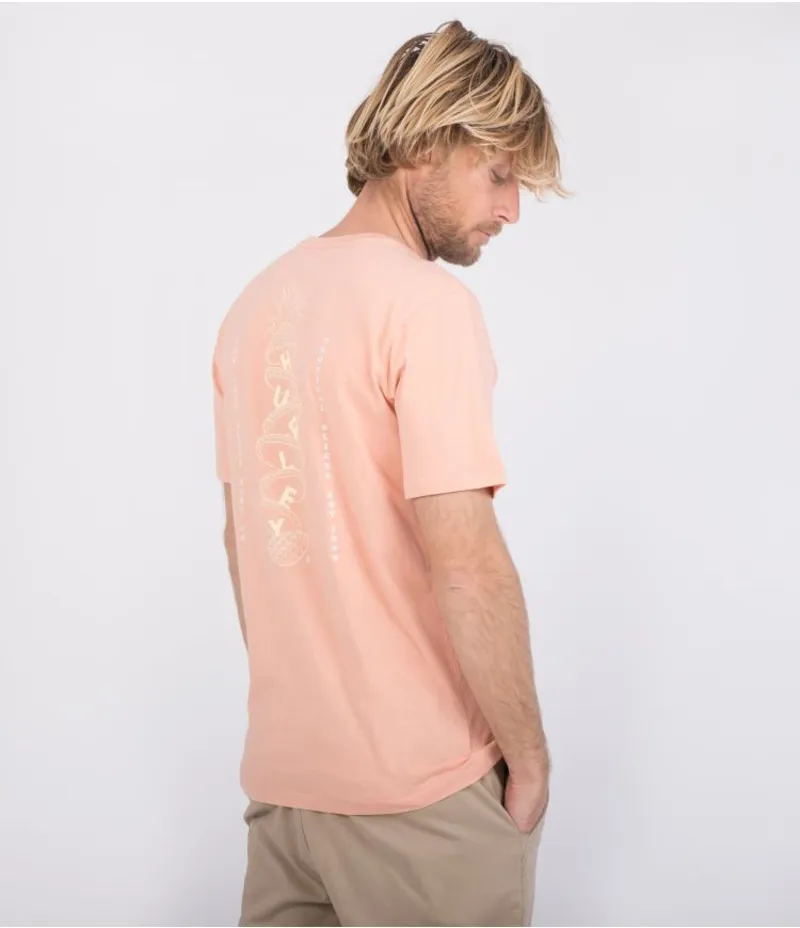 Hurley Everyday Wash Tropical Slices Short Sleeve Tee in Pink Quest