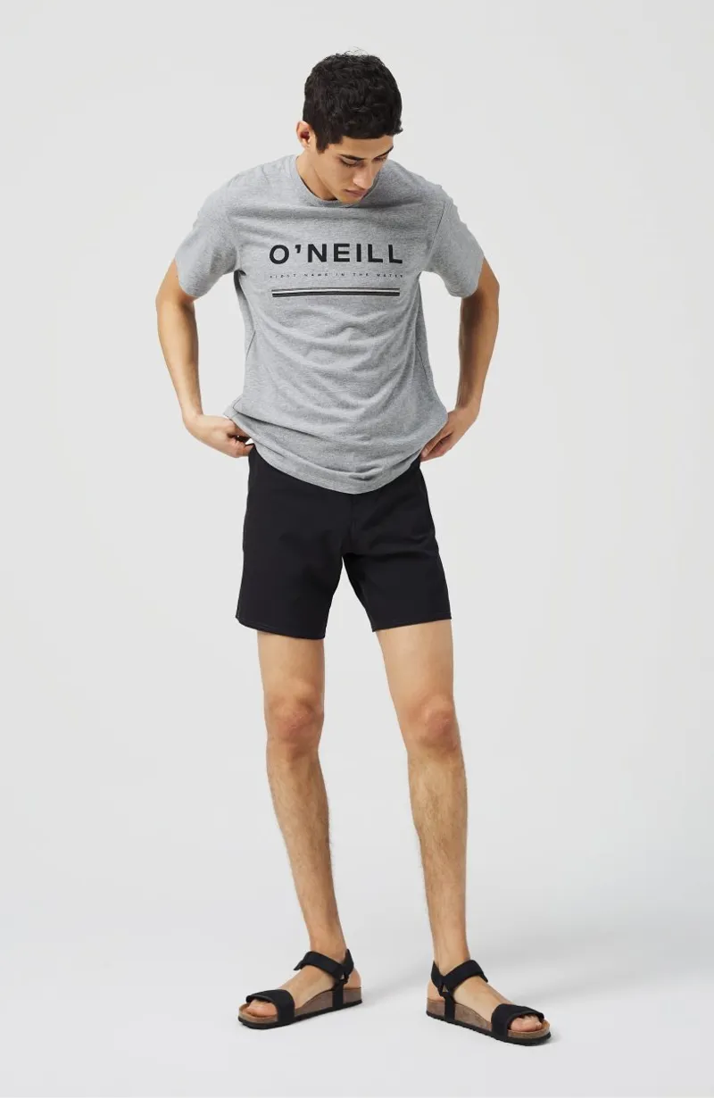 O'Neill Solid Freak Boardshorts Salina Grey-5