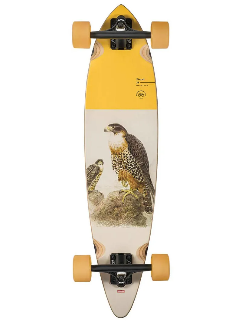 Globe Pintail 34 Inch Longboard